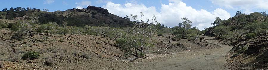 Biotop