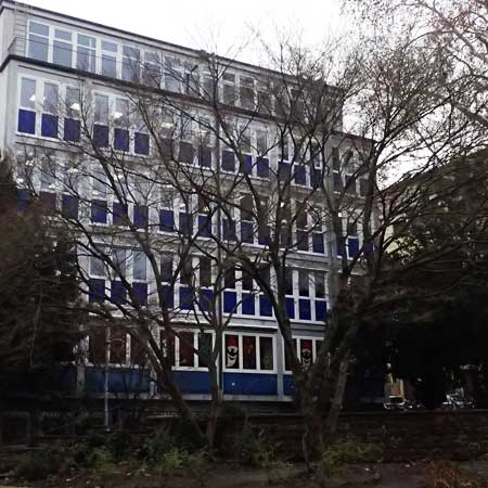 Acer palmatum \ F�cher-Ahorn / Japanese Maple, D Mannheim 7.1.2025