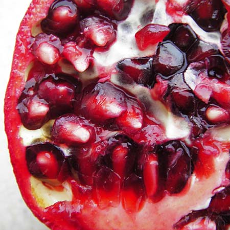 Punica granatum \ Granatapfel / Pomegranate, D  24.12.2014