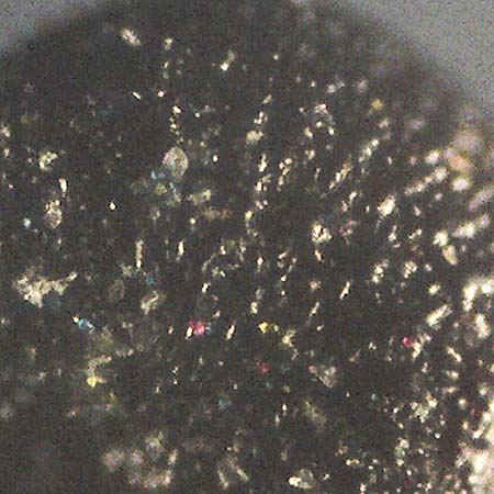 Portulaca papillatostellulata \ Papillenfr&uuml;chtiger Portulak / Papilla-Fruited Purslane, D Stuttgart 2.9.2018