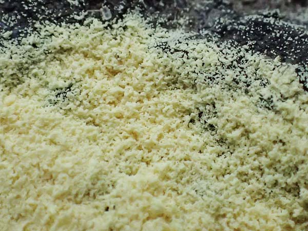 Pinus sylvestris \ Wald-Kiefer, F�hre / Scot's Pine, D Heusenstamm 4.5.2025