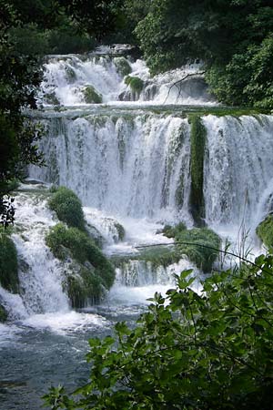 Palustriella commutata \ Ab&auml;nderndes Starknerv-Moos, Tuff-Moos / Curled Hook Moss, Kroatien/Croatia Krka 3.6.2008