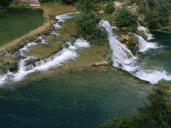 Palustriella commutata \ Ab&auml;nderndes Starknerv-Moos, Tuff-Moos / Curled Hook Moss, Kroatien/Croatia Krka 3.6.2008
