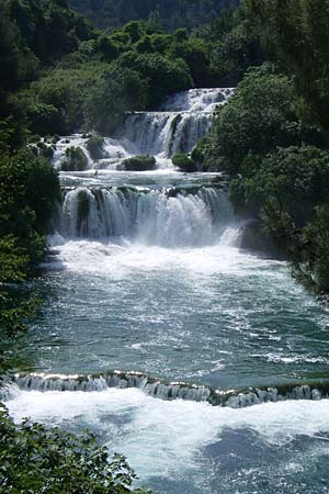 Palustriella commutata \ Ab&auml;nderndes Starknerv-Moos, Tuff-Moos / Curled Hook Moss, Kroatien/Croatia Krka 3.6.2008