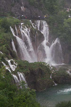 Palustriella commutata \ Ab&auml;nderndes Starknerv-Moos, Tuff-Moos / Curled Hook Moss, Kroatien/Croatia Plitvička 3.6.2006