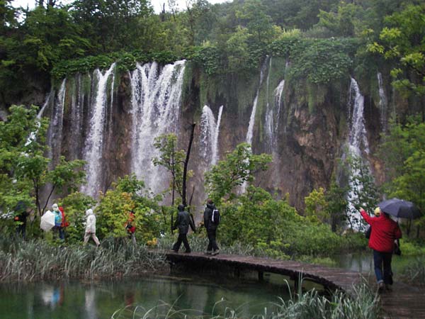 Palustriella commutata \ Ab&auml;nderndes Starknerv-Moos, Tuff-Moos / Curled Hook Moss, Kroatien/Croatia Plitvička 3.6.2006